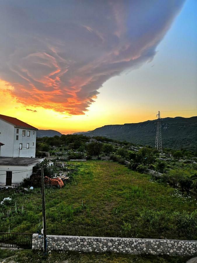 Vila Zdenka Novi Vinodolski Dış mekan fotoğraf